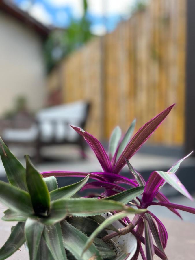 Coco Suites Abraão Eksteriør bilde